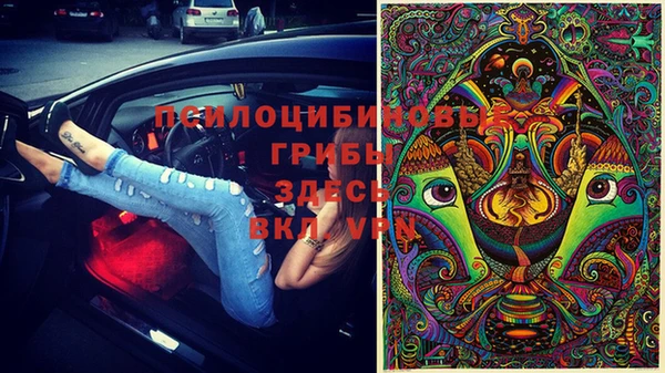 2c-b Абинск