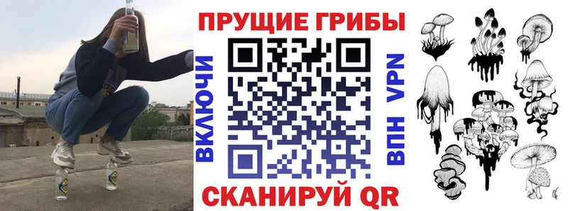 KRAKEN как зайти  Яранск  Псилоцибиновые грибы мухоморы  где можно купить  